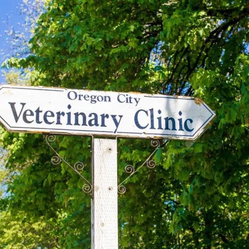 Clinic sign at Oregon City Veterinary Clinic 